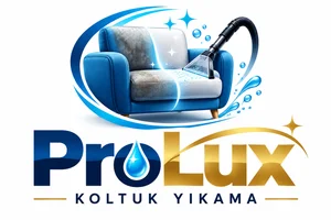ProLux Koltuk Yıkama